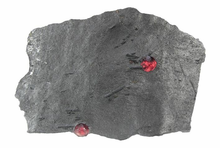 Plate of Two Red Embers Garnets in Graphite - Massachusetts #301133